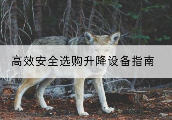 安图升降货梯厂家推荐-*安全选购升降设备指南