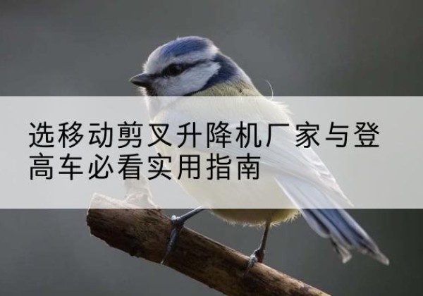安图电动升降机厂家-选移动剪叉升降机厂家与登高车必看实用指南