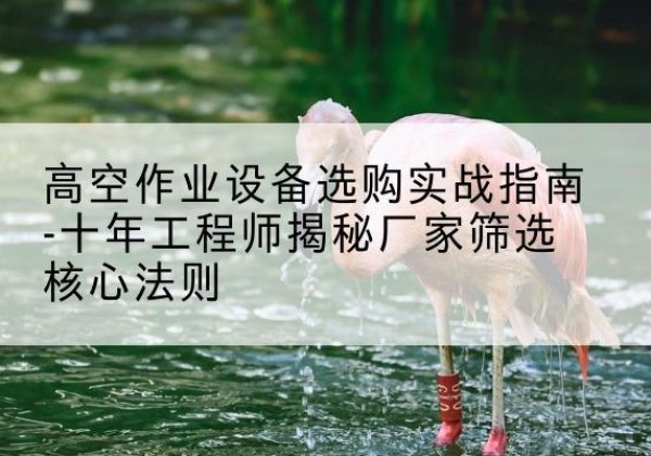 安图剪叉式升降机厂家-高空作业设备选购实战指南-十年工程师揭秘厂家筛选核心法则